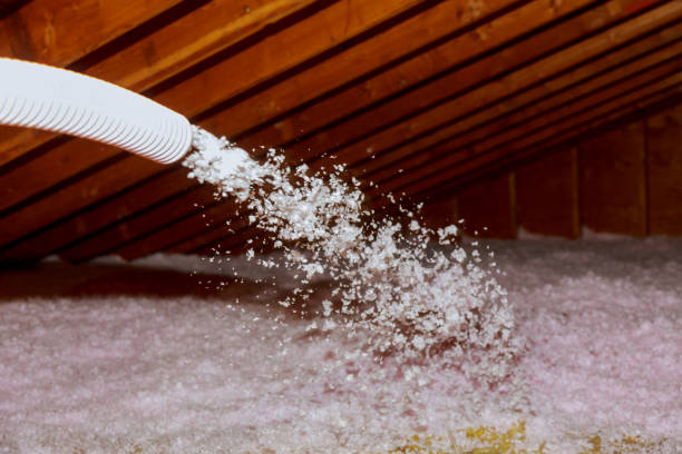 Best Specialized Insulation Services in Dayton, VA