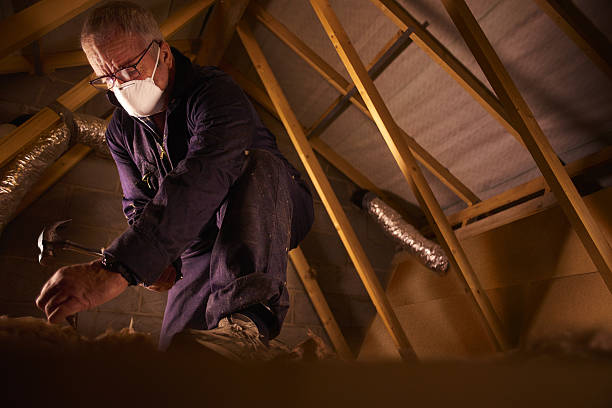 Best Commercial Insulation in Dayton, VA